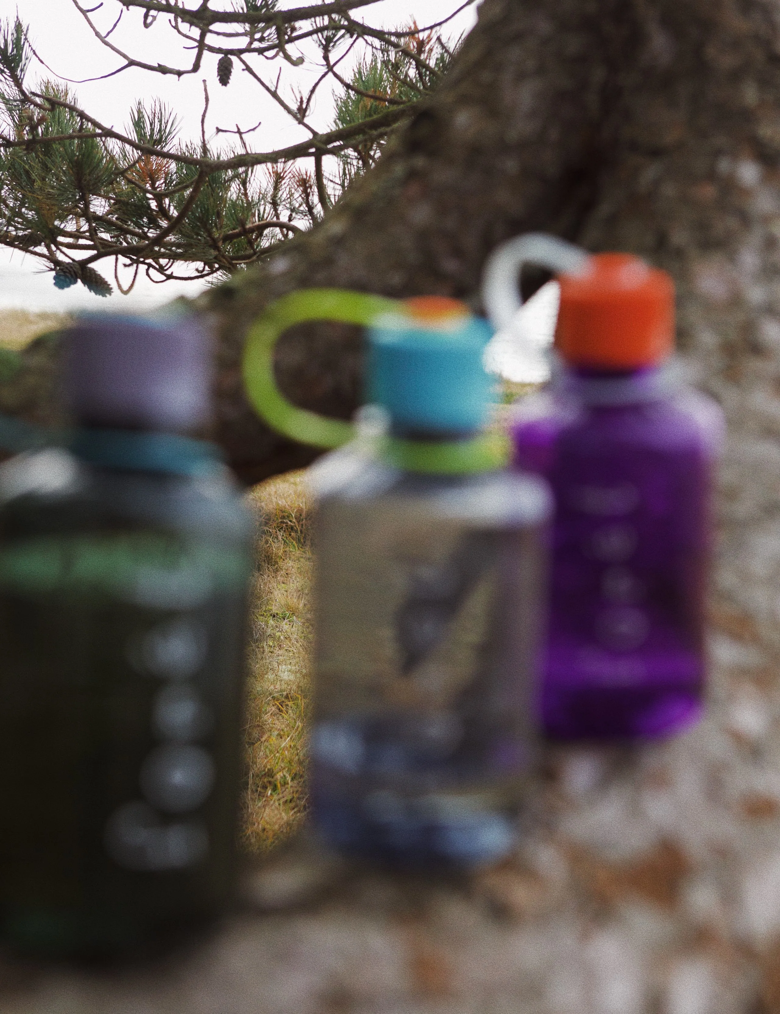 FORÉT x NALGENE NARROW BOTTLE 16oz - PURPLE/ORANGE - Image 3